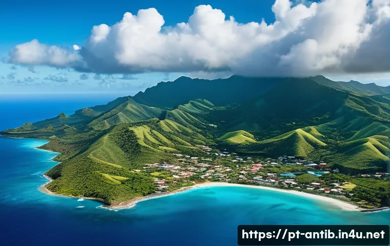 앤티가 바부다 가는 방법 - A stunning aerial view of Antigua's coastline as a modern airplane descends, with a partial view of ...