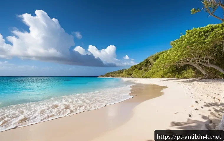 앤티가 바부다 해변 추천 - A serene and nearly untouched Caribbean beach scene at Half Moon Bay, Antigua, featuring fine white ...